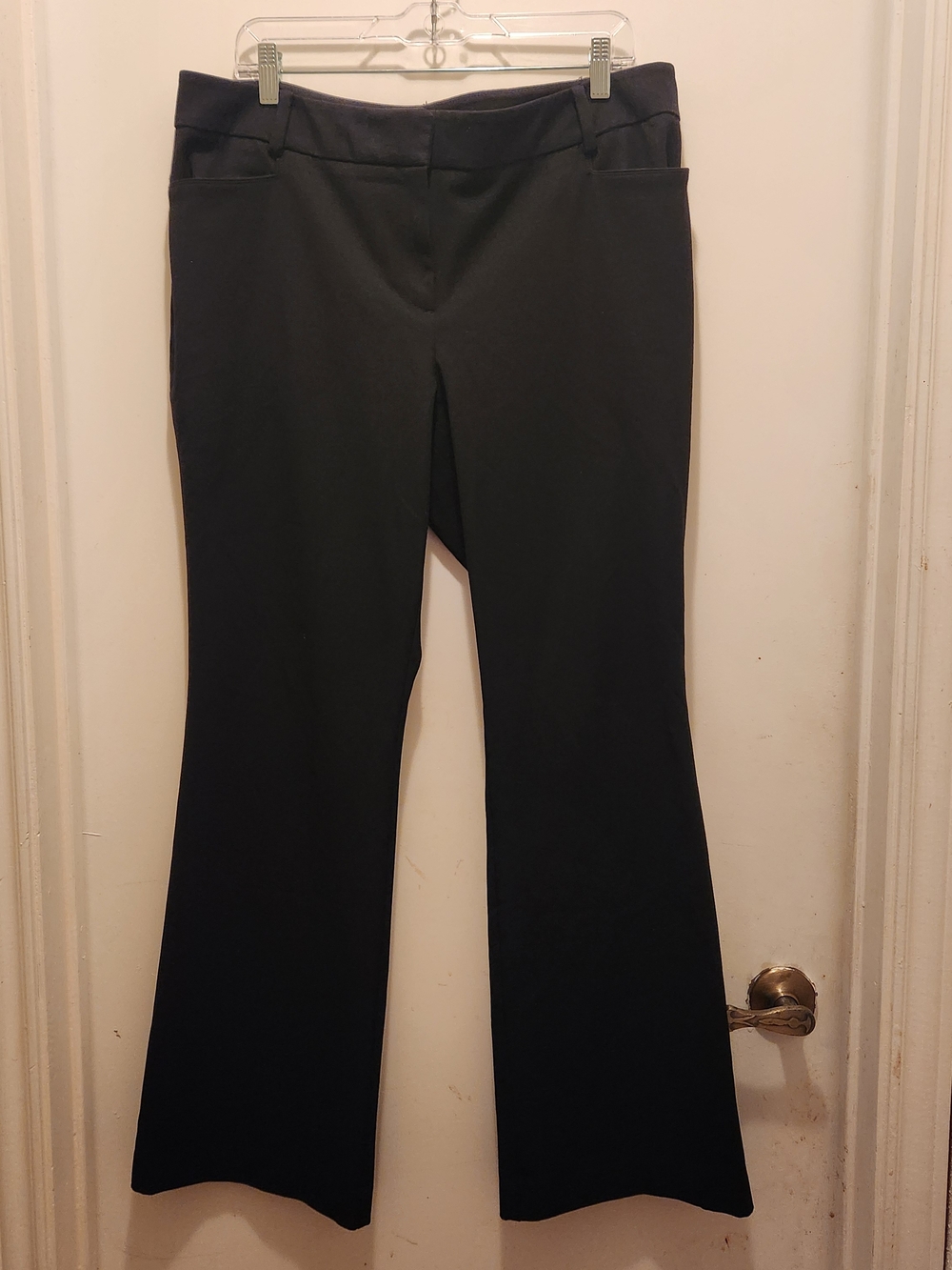 New York & Company 7th Avenue Design Studio Bootcut Dress Pants